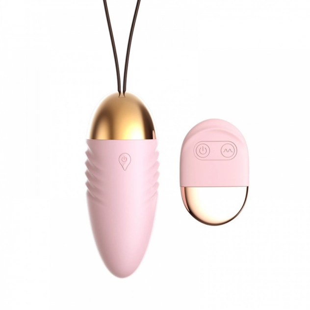 Vibrador Bullet Cápsula Com Controle Remoto Dss Sex Shop 6609