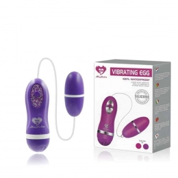 Cápsula Vibratória com Controle Vibrating Egg