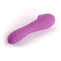 Vibrador 2 em 1 Potente Estimulador de Clitóris por Pulsação e Vibrador para Penetração - Desire