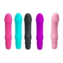 Vibrador Ponto G Pretty Love Stev