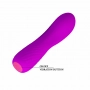 Vibrador Ponto G Recarregável Pretty Love Adam