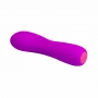 Vibrador Ponto G Recarregável Pretty Love Adam