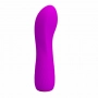 Vibrador Ponto G Recarregável Pretty Love Adam