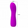 Vibrador Ponto G Recarregável Pretty Love Adam