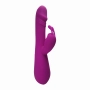 Vibrador Rabbit Pretty Love Clement 